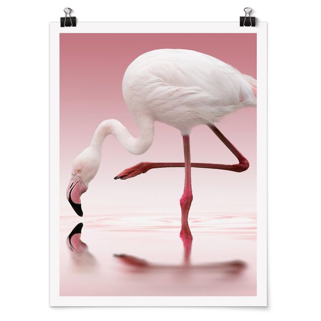 Cuadros africanos Flamingo Dance