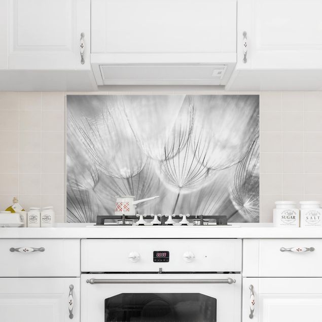 Panel antisalpicaduras cocina flores Dandelions Macro Shot In Black And White