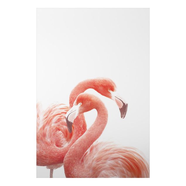 Cuadros de plumas Two Flamingos