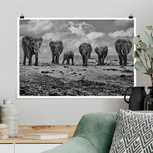 Cuadros de elefantes Large Familiy