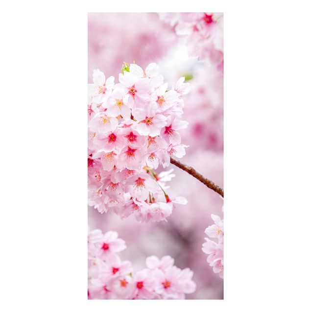 Decoración cocina Japanese Cherry Blossoms