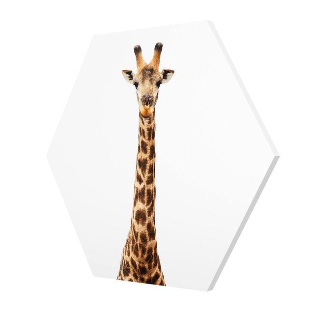 cuadros hexagonales Giraffe head