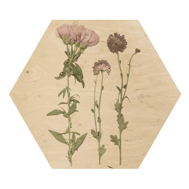 cuadro hexagonal Herbarium In Pink III
