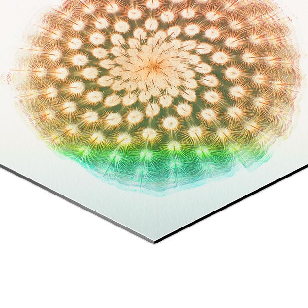 Hexagon Bild Alu-Dibond - Wasserfarben - Kaktusblüte