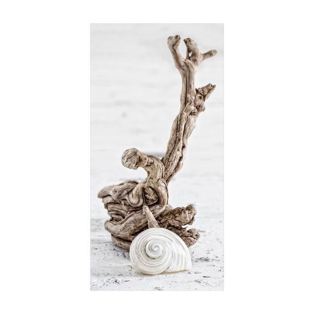 Alfombra color beige White Snail Shell And Root Wood