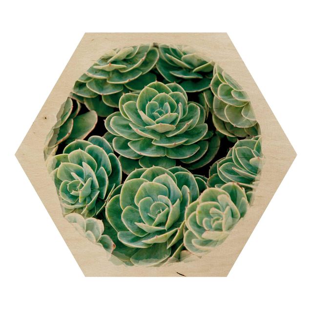 Hexagon Bild Holz - Wasserfarben - Grüne Sukkulenten