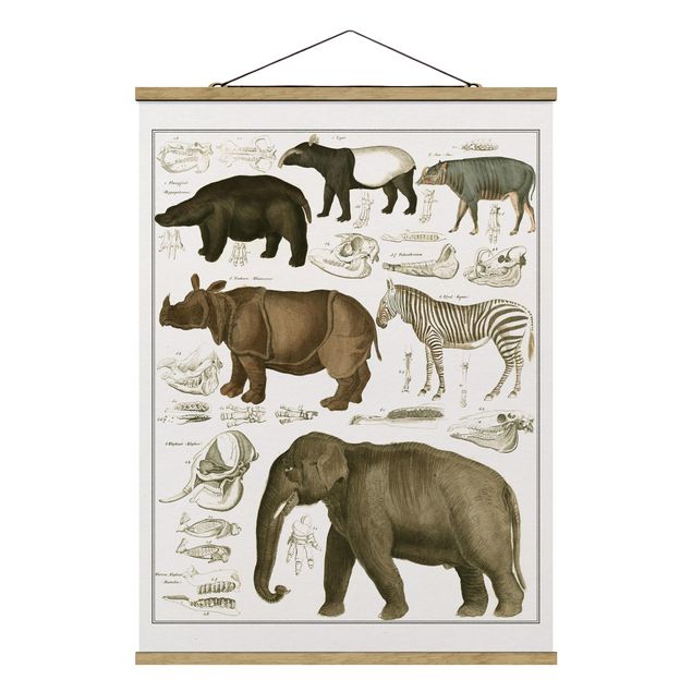 Cuadros paisajes Vintage Board Elephant, Zebra And Rhino