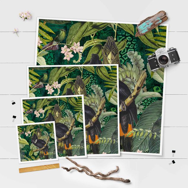 Cuadros decorativos Colourful Collage - Cockatoos In The Jungle