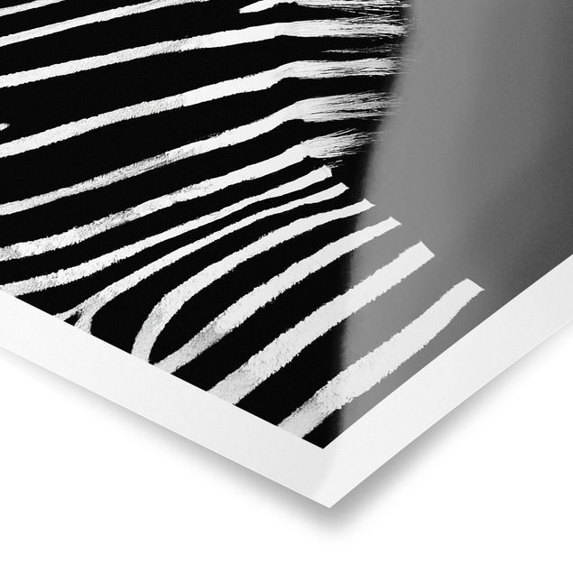 Cuadros modernos blanco y negro Zebra Safari Art