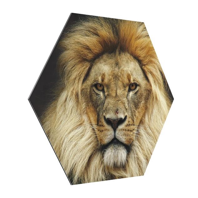 Cuadros animales Wisdom Of Lion