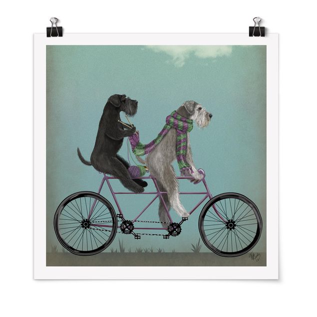 Cuadros de perros Cycling - Schnauzer Tandem