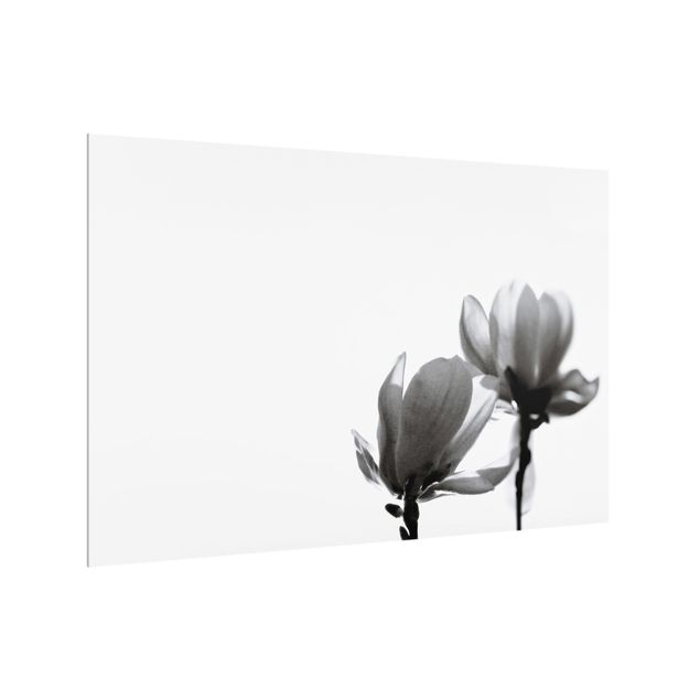 Cuadros de Monika Strigel Herald Of Spring Magnolia Black And White