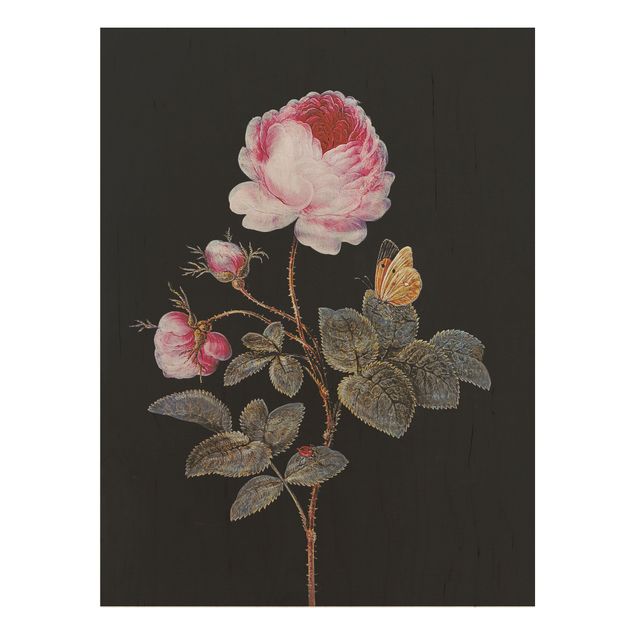 Láminas cuadros famosos Barbara Regina Dietzsch - The Hundred-Petalled Rose