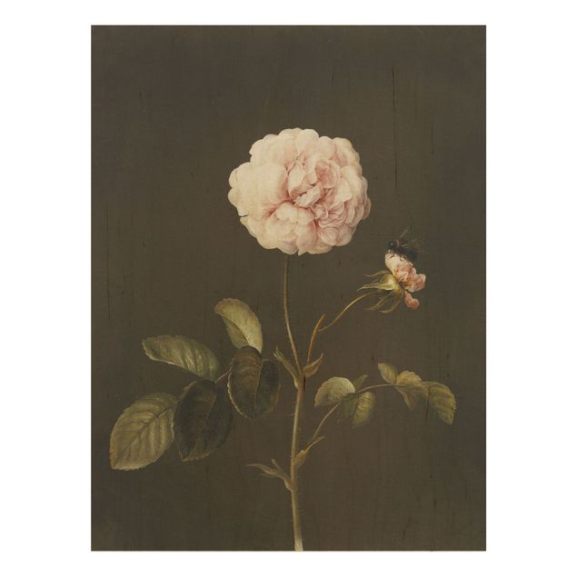 Reproducciones de cuadros Barbara Regina Dietzsch - French Rose With Bumblbee