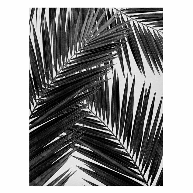Cuadro con paisajes View Through Palm Leaves Black And White