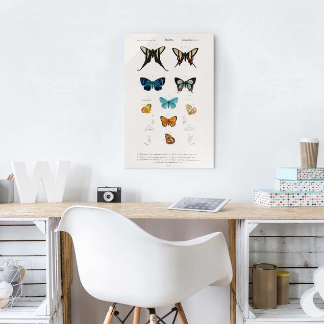 Cuadros de cristal animales Vintage Board Butterflies I