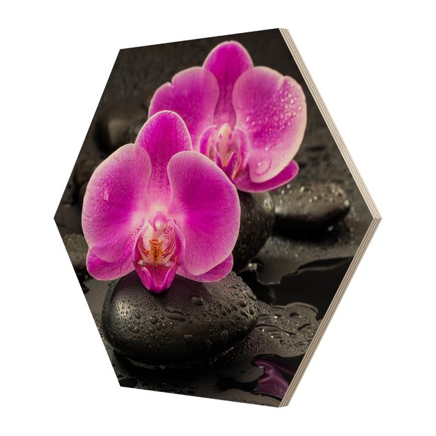 Cuadros Uwe Merkel Pink Orchid Flowers On Stones With Drops