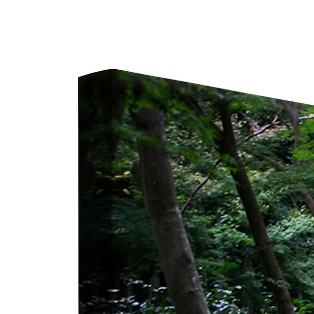 Lienzos de bosques Japanese Forest
