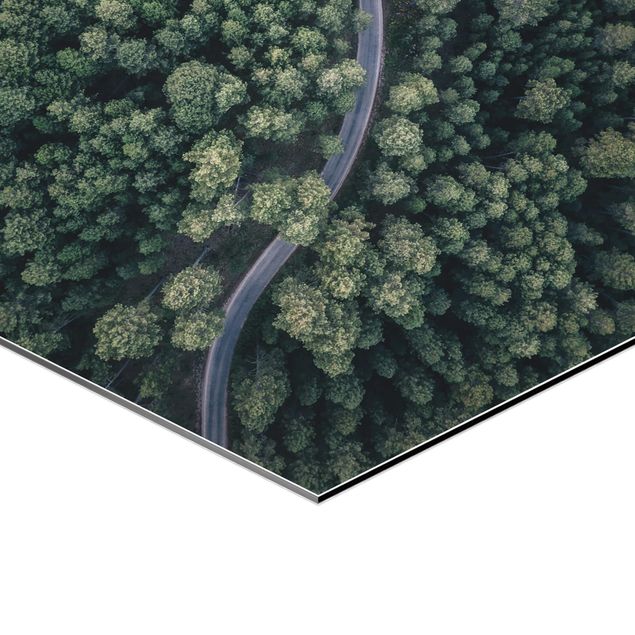 Cuadros hexagonales Aerial View - Forest Road From The Top