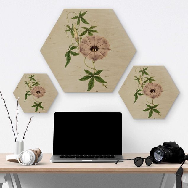 Hexagon Bild Holz - Florale Schmuckstücke IV