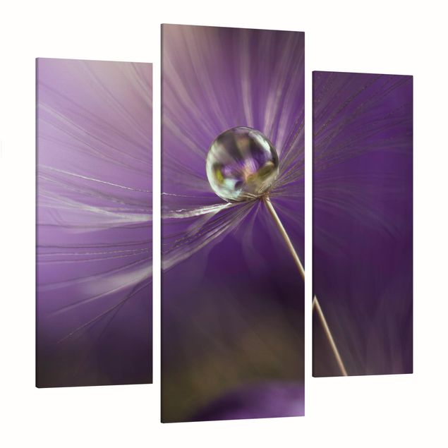 Cuadros de plantas naturales Dandelion In Violet