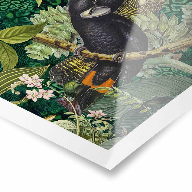 Cuadro verde Colourful Collage - Cockatoos In The Jungle