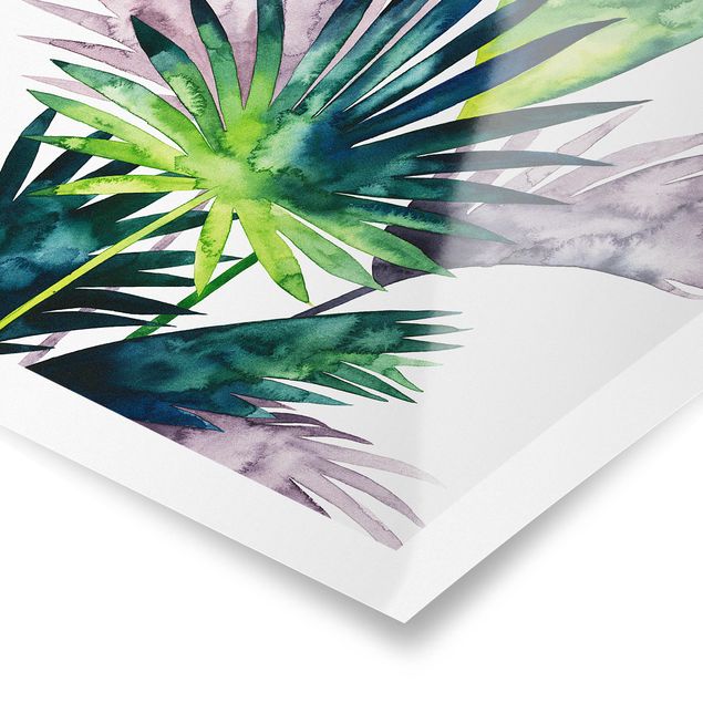 Cuadros verdes Exotic Foliage - Fan Palm