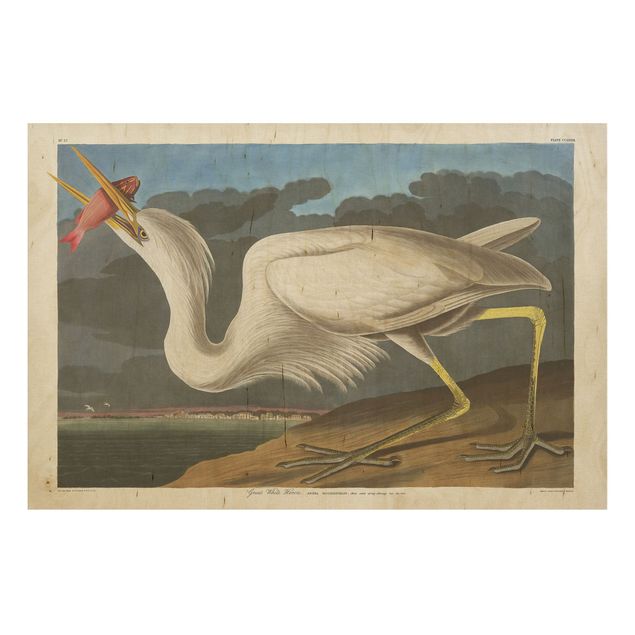 Cuadros vintage madera Vintage Board Great White Egret