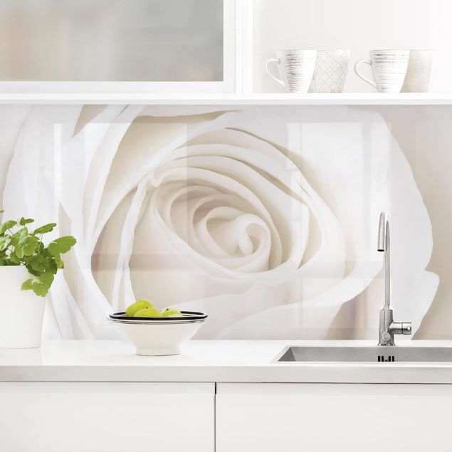 Decoración de cocinas Pretty White Rose