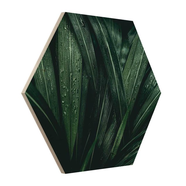 cuadros hexagonales Green Palm Leaves