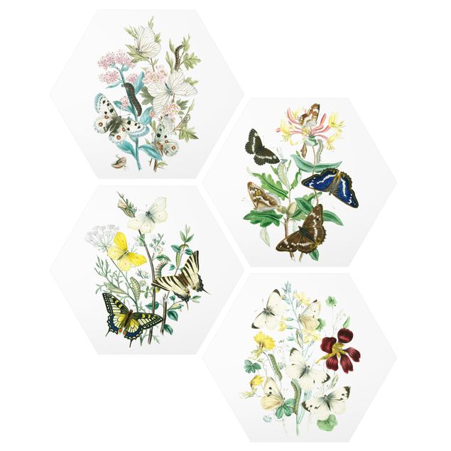 Cuadros de flores British Butterflies Set II
