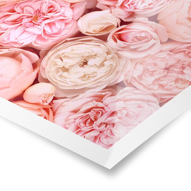Láminas decorativas Roses Rosé Coral Shabby