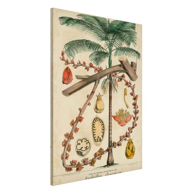 Decoración en la cocina Vintage Board Exotic Palms II