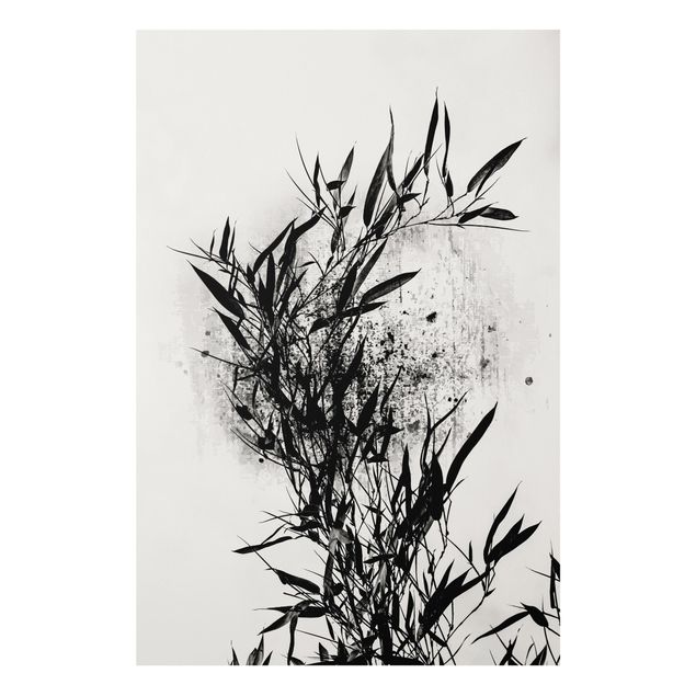 Cuadros de peces modernos Graphical Plant World - Black Bamboo
