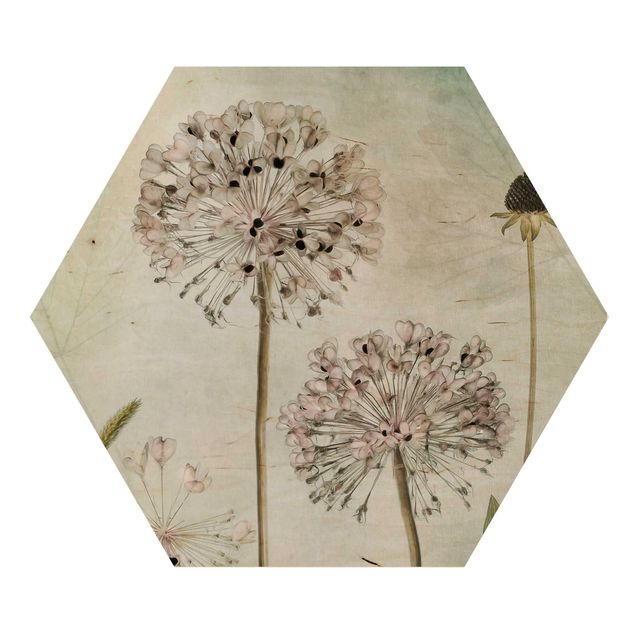 cuadro hexagonal Allium flowers in pastel