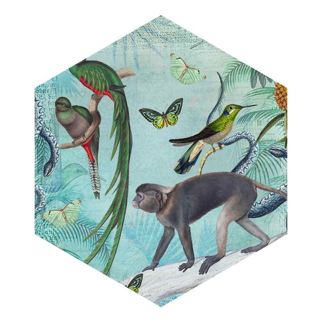 Papel pintado hexagonal Colonial Style Collage - Monkeys And Birds Of Paradise