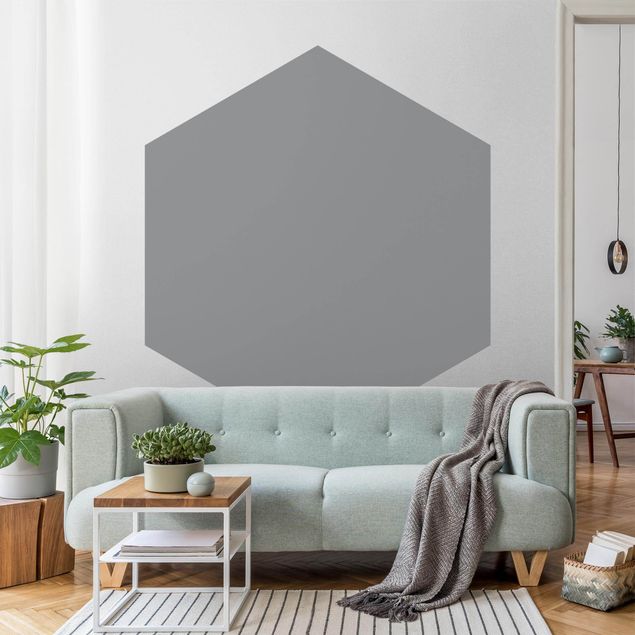 Papel pintado moderno Colour Cool Gray