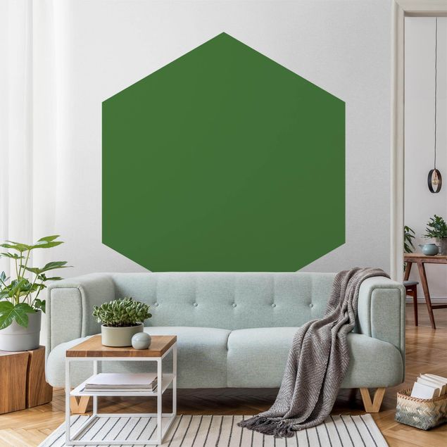 Papel pintado salón moderno Colour Dark Green