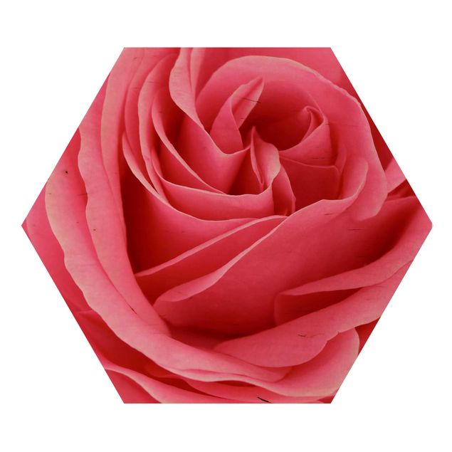 Hexagon Bild Holz - Lustful Pink Rose