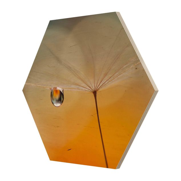 Hexagon Bild Holz - Pusteblume in Orange