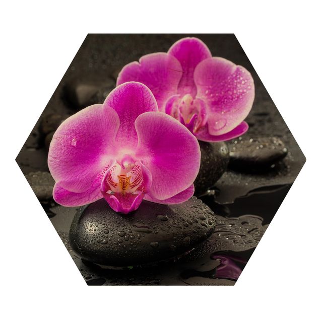 Cuadros de flores modernos Pink Orchid Flowers On Stones With Drops