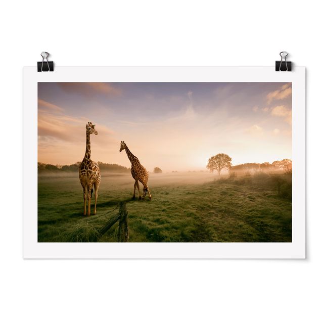 Cuadro con paisajes Surreal Giraffes