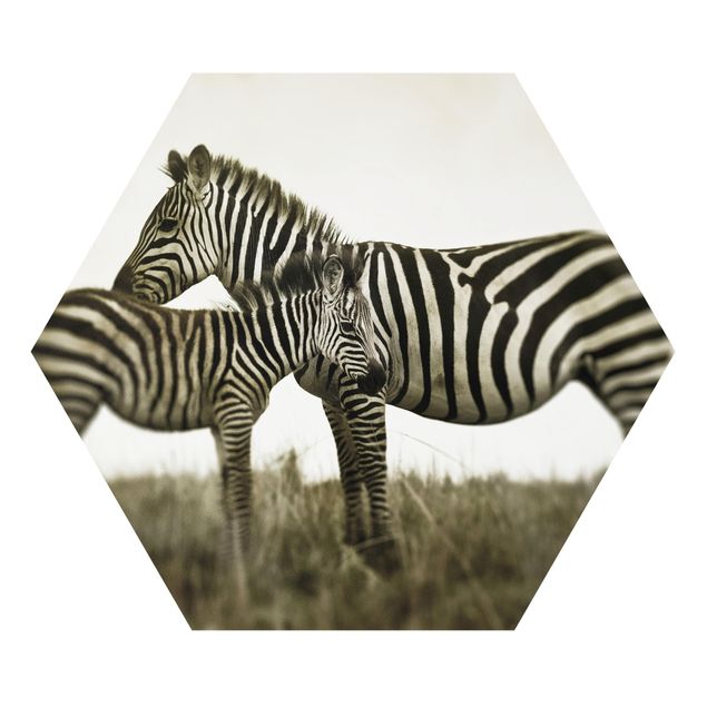 Cuadros de animales Zebra Couple