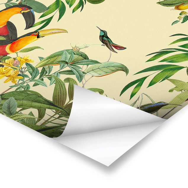 Cuadros Haase Vintage Collage - Birds In The Jungle