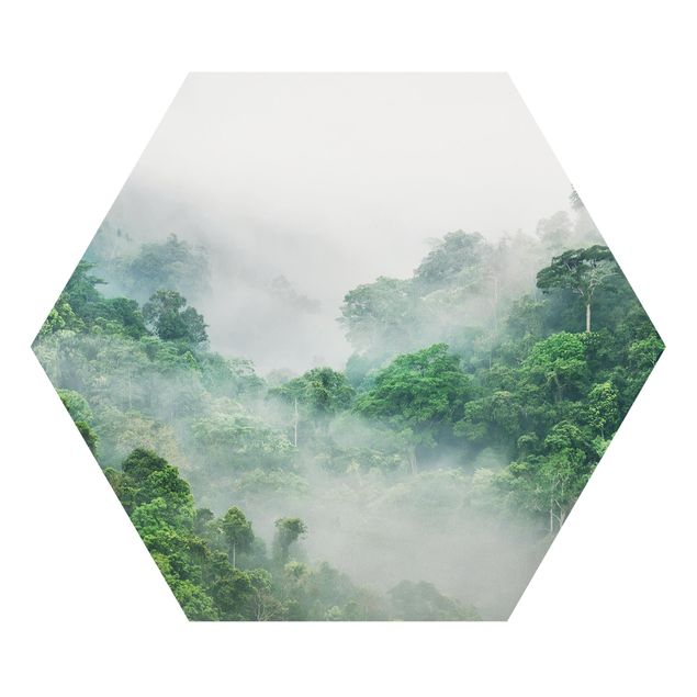 Cuadros de plantas naturales Jungle In The Fog