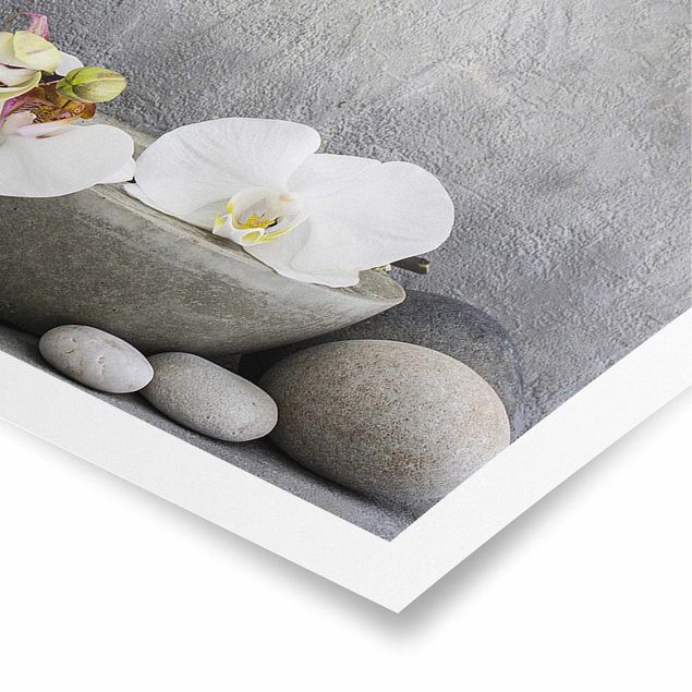 Cuadros zen para baños Zen Buddha With White Orchids