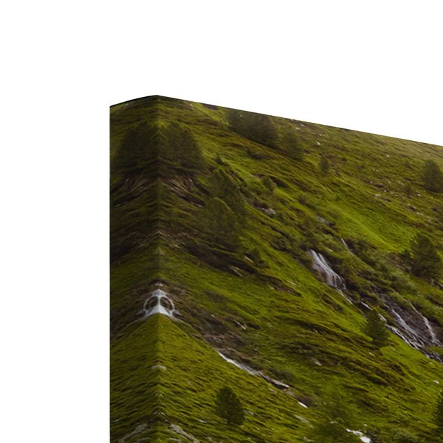 Cuadros decorativos modernos Alpine meadow Tirol