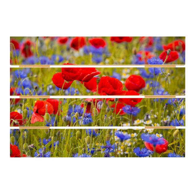 Cuadros Summer Meadow With Poppies And Cornflowers