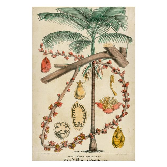 Cuadros de paisajes naturales  Vintage Board Exotic Palms II