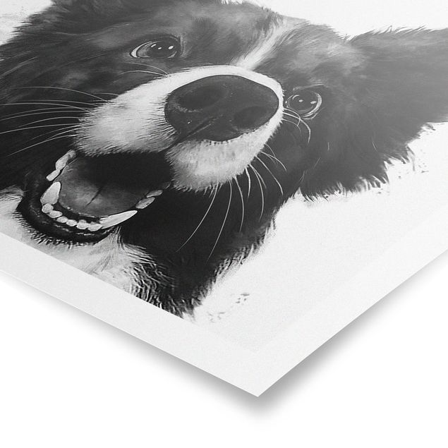 Póster animales Illustration Dog Border Collie Black And White Painting